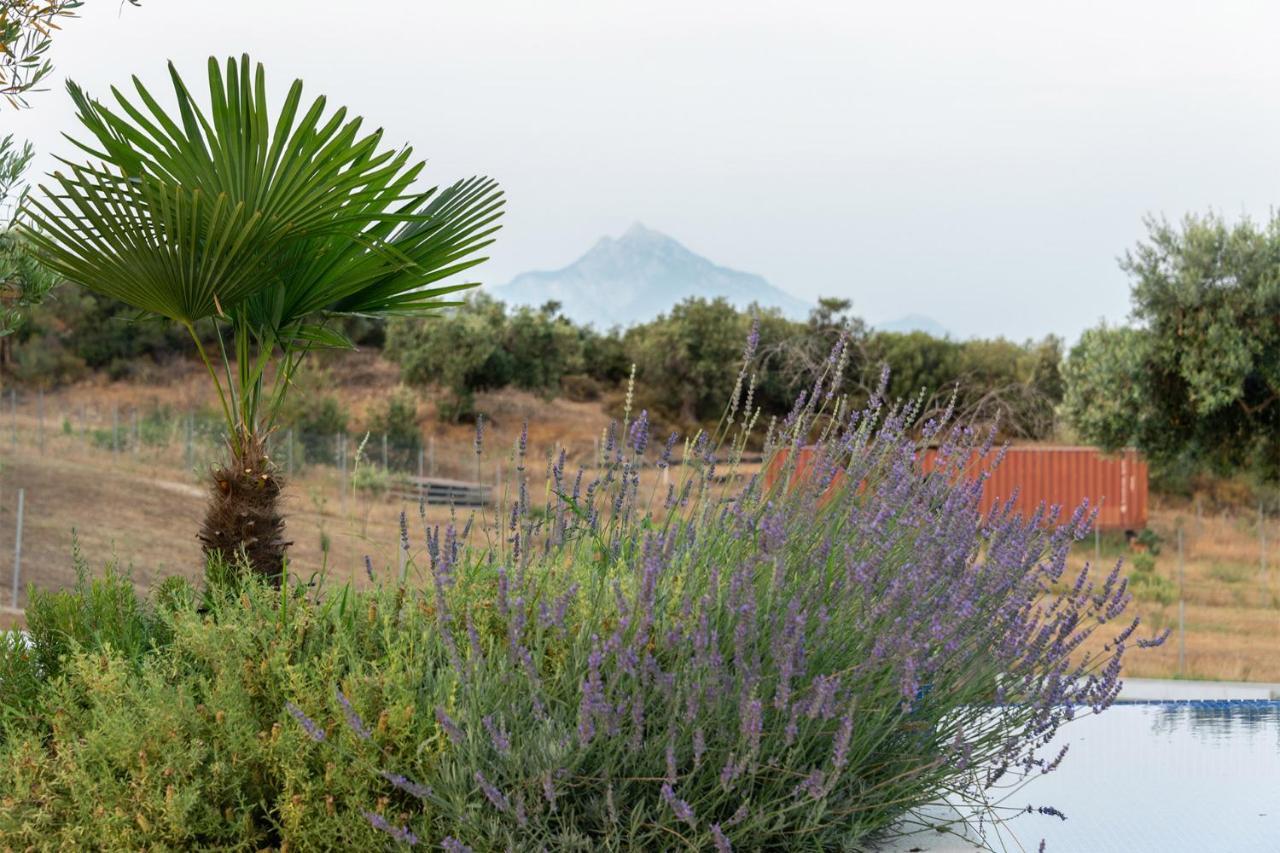Afisia Villas サルティ エクステリア 写真