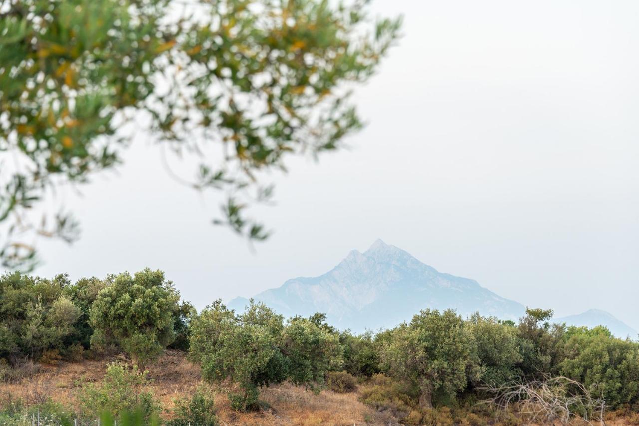 Afisia Villas サルティ エクステリア 写真